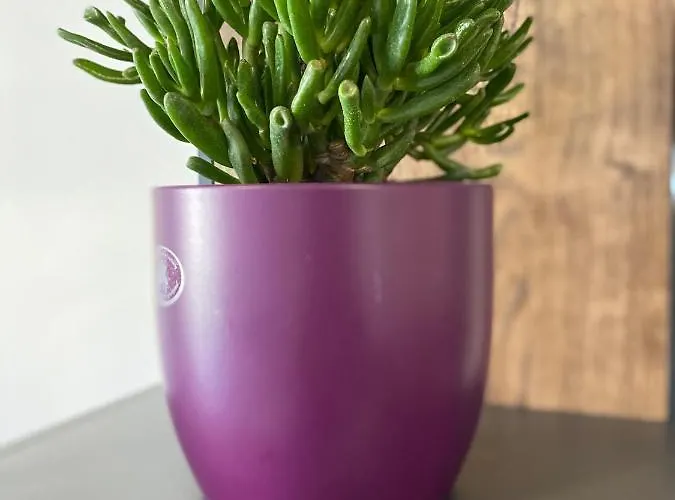 Grandpa Garo Appartement Zadar